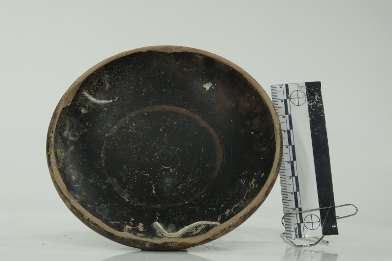 Миска чорнолакова