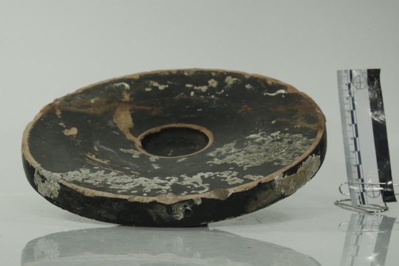 Чорнолакове рибне блюдо