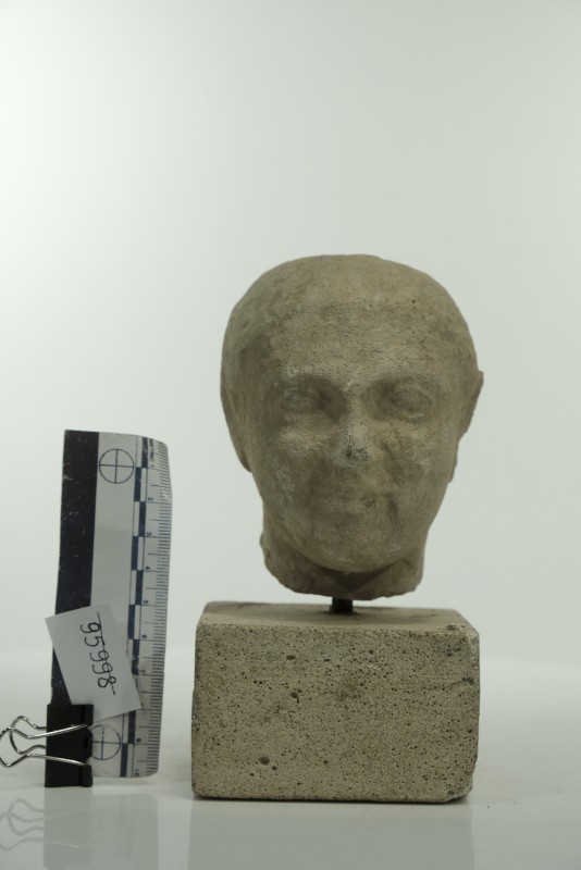 Голова хлопчика