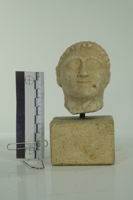 Голова хлопчика