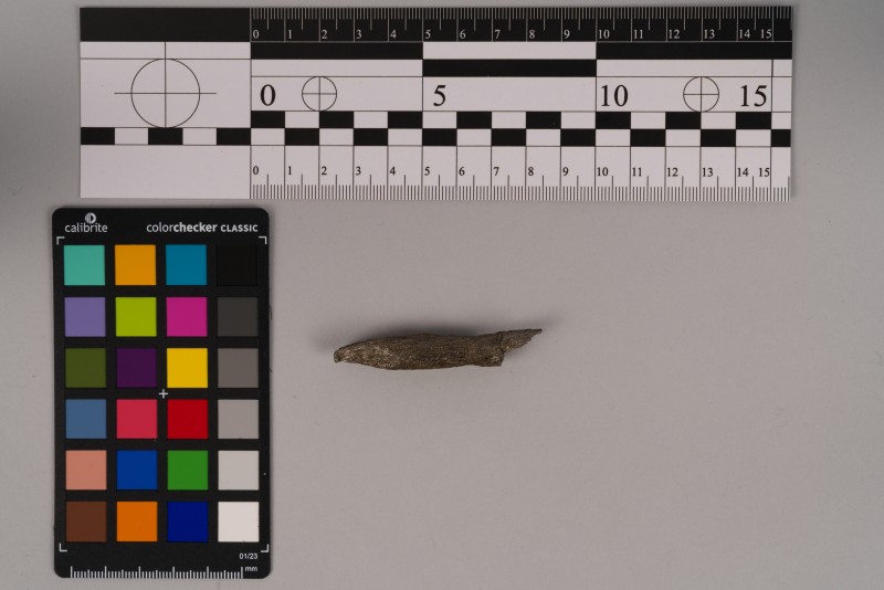 Наконечник стріли арбалета