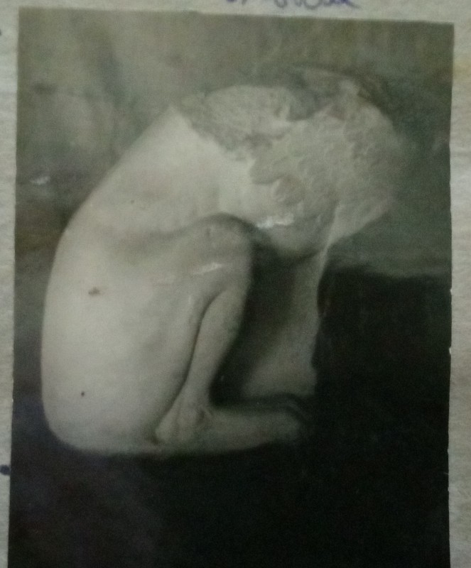 Грифон, що сидить