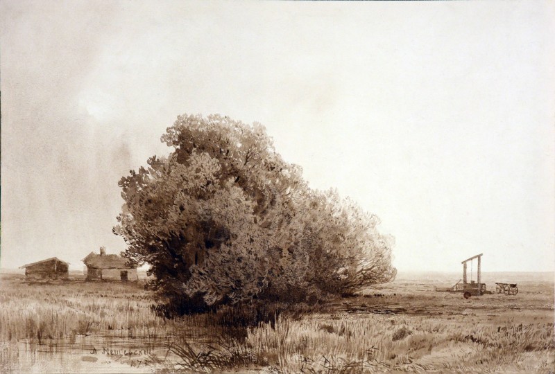 Каміння та кущі