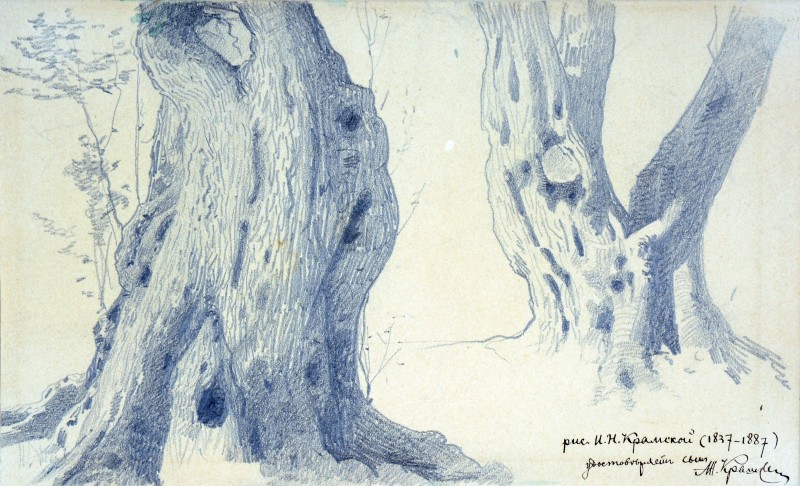 Стволи дерев