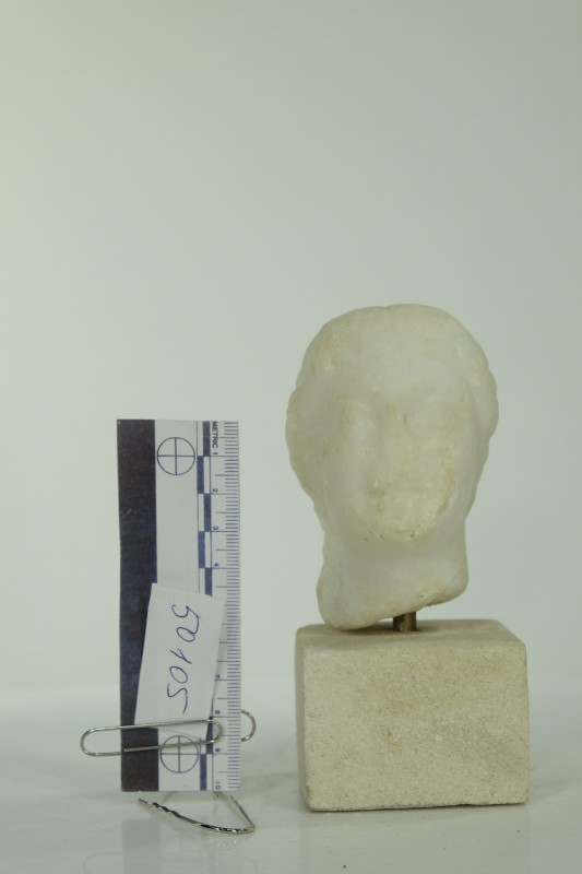 Жіноча голова