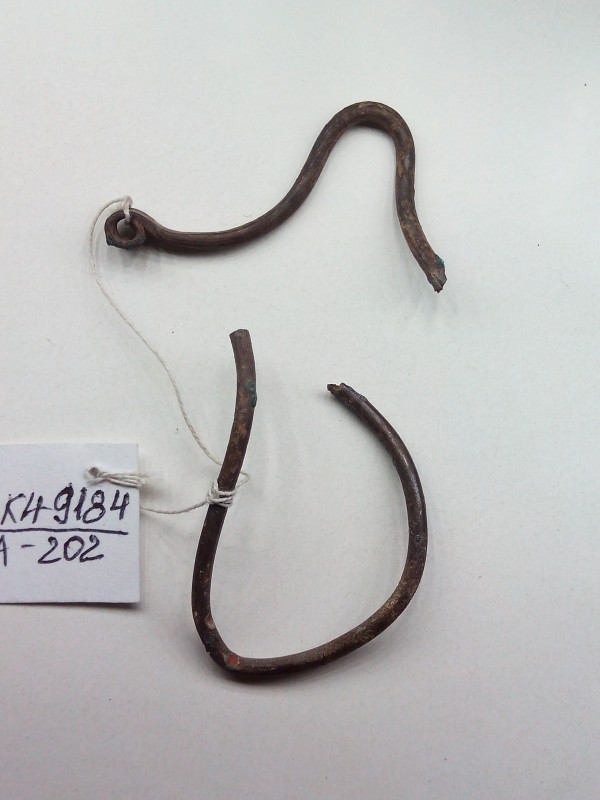 Скроневе кільце