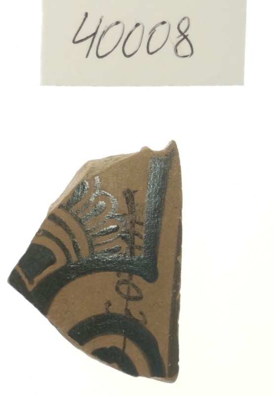 Фрагмент стінки кіліка