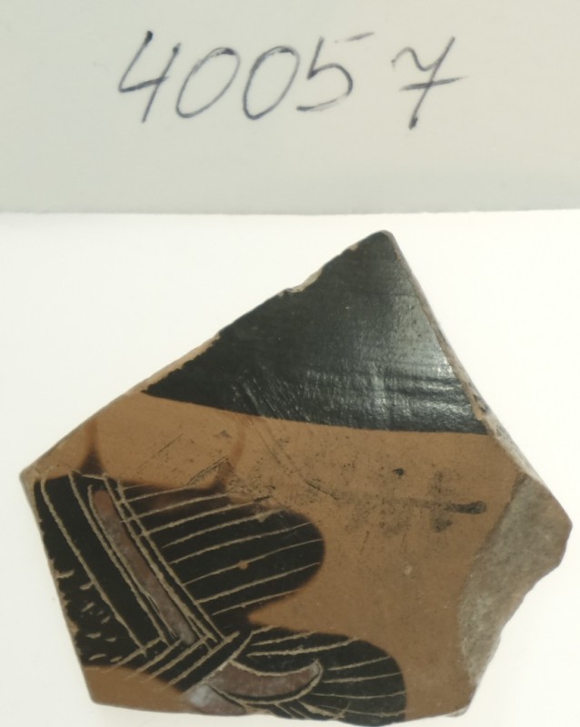 Фрагмент тонкостінної чорнофігурної посудини