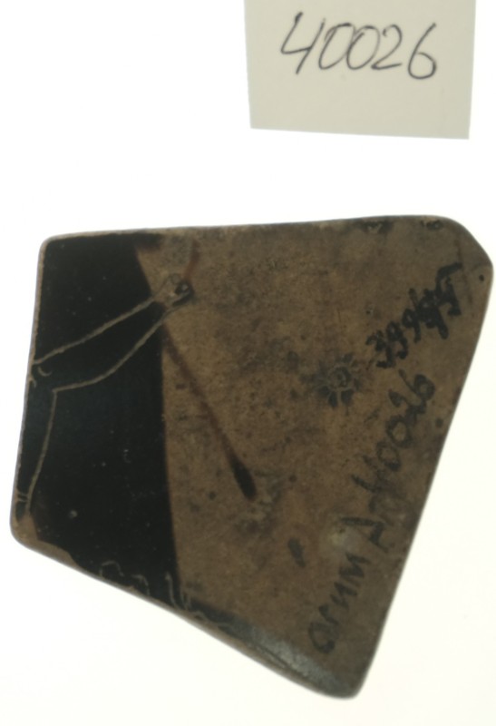 Фрагмент стінки кіліка