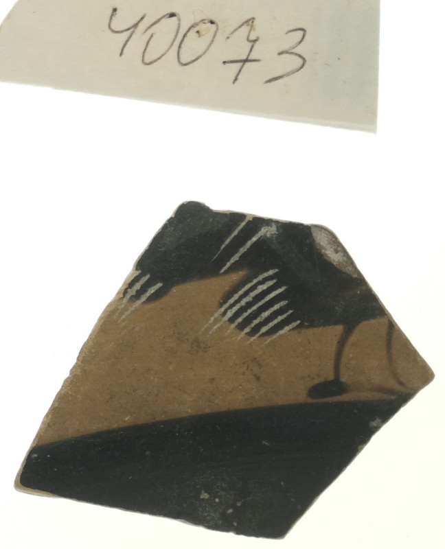 Фрагмент стінки чорнофігурного кіліка