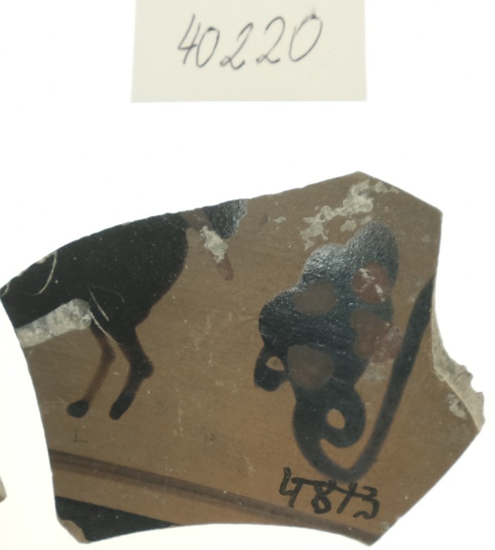 Фрагмент тонкостінної чорнофігурної посудини