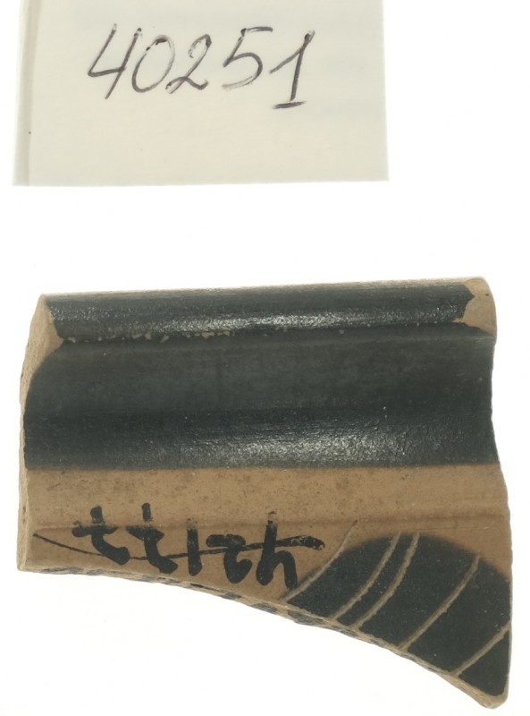 Фрагмент тонкостінної чорнофігурної посудини