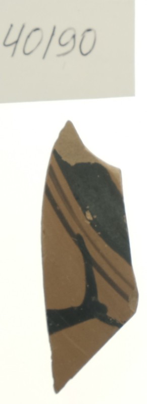 Фрагмент стінки чорнофігурної посудини