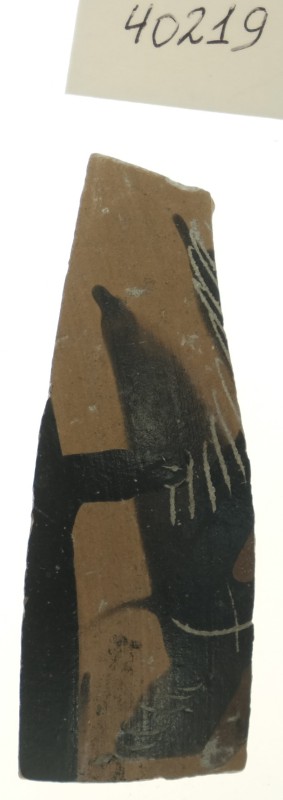 Фрагмент стінки кіліка