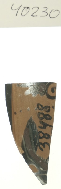 Фрагмент тонкостінної чорнофігурної посудини