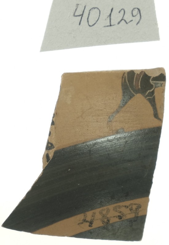 Фрагмент стінки кіліка