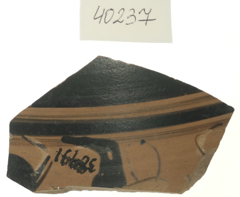 Фрагмент тонкостінної чорнофігурної посудини