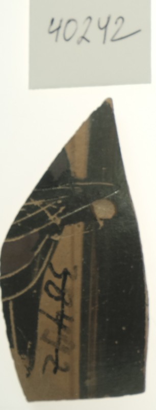 Фрагмент чорнофігурної відкритої посудини