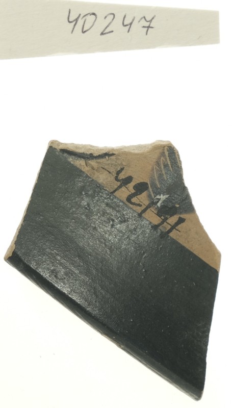 Фрагмент тонкостінної чорнофігурної посудини