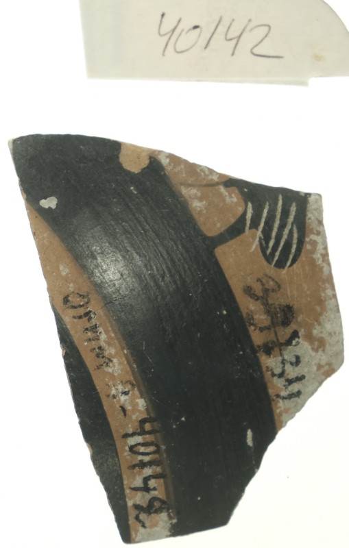 Фрагмент стінки чорнолагового кіліка