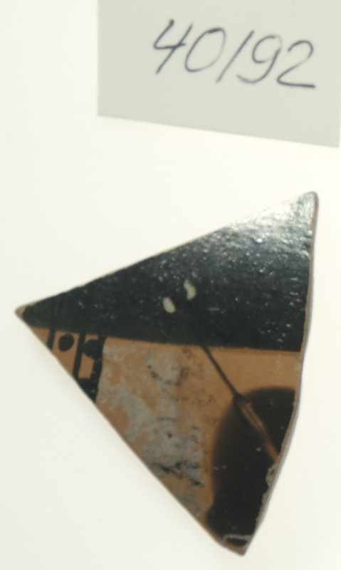 Фрагмент стінки верхньої частини тулубу ольпи