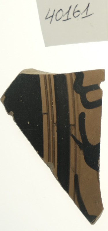 Фрагмент стінки чорнофігурної посудини