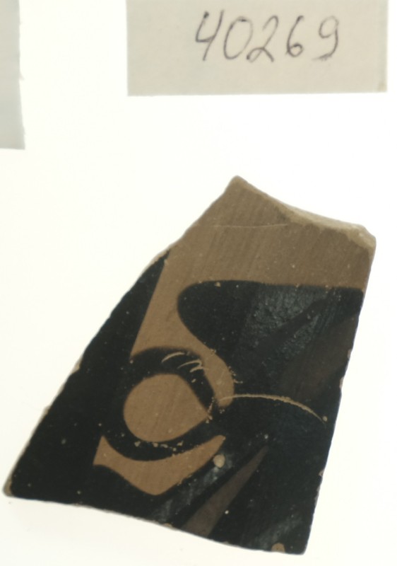 Фрагмент стінки кіліка