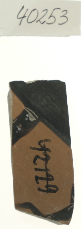 Фрагмент тонкостінної чорнофігурної посудини