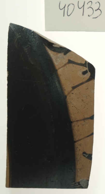 Фрагмент стінки дрібнофігурного кіліка