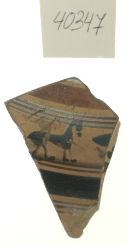 Фрагмент стінки чорнофігурного кіліка групи "Droop cup"