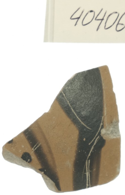 Фрагмент стінки чорнофігурної відкритої посудини