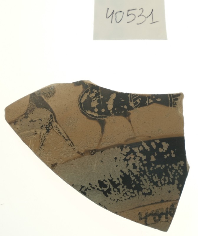 Фрагмент стінки дрібнофігурного кіліка