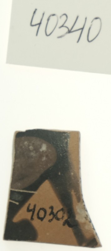 Фрагмент стінки чорнофігурного кіліка (скіфоса)