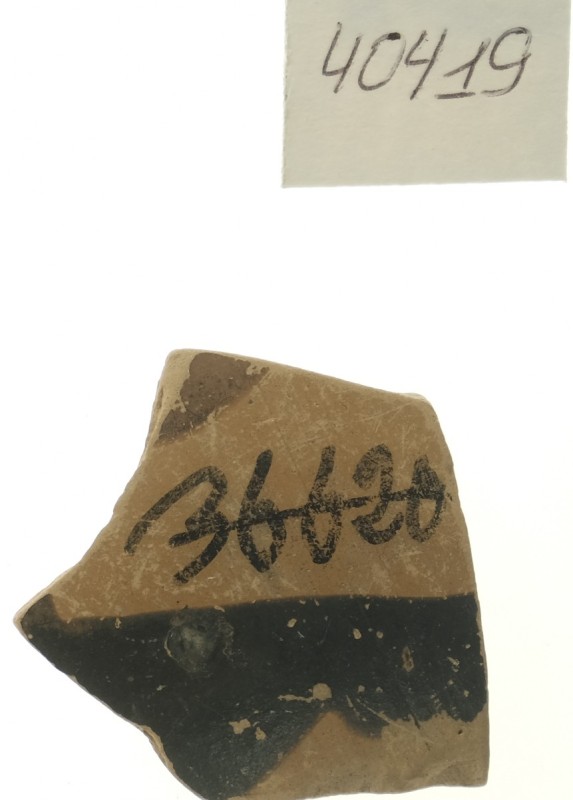 Франмент чорнофігурної посудини