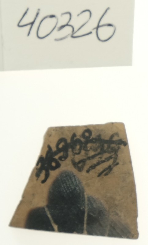 Фрагмент стінки кіліка