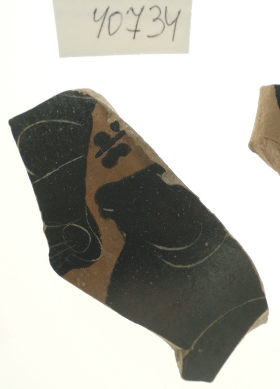 Фрагмент стінки зачиненої чорнофігурної посудини