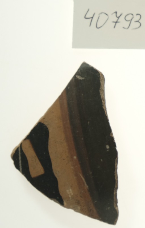 Фрагмент стінки зачиненої чорнофігурної посудини