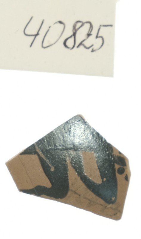 Фрагмент стінки чорнофігурного кіліка