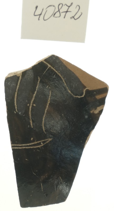 Фрагмент стінки зачиненої чорнофігурної посудини