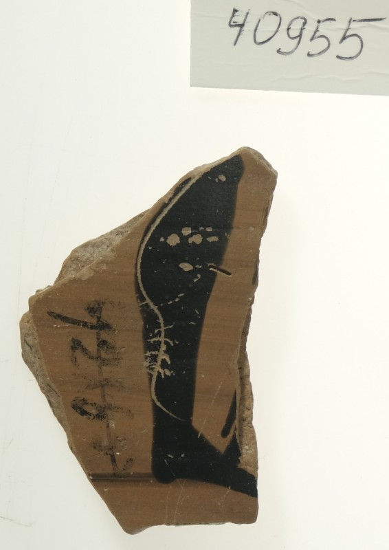 Фрагмент чорнофігурної товстостінної посудини