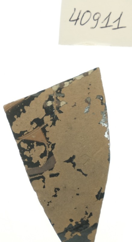 Фрагмент стінки  чорнофігурної закритої посудини