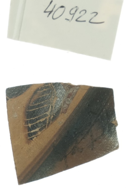 Фрагмент чорнофігурної посудини