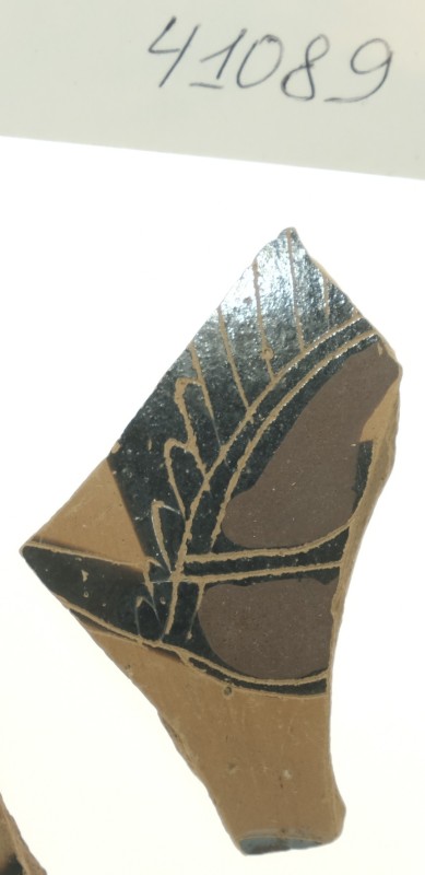 Фрагмент тонкостінної чорнофігурної посудини