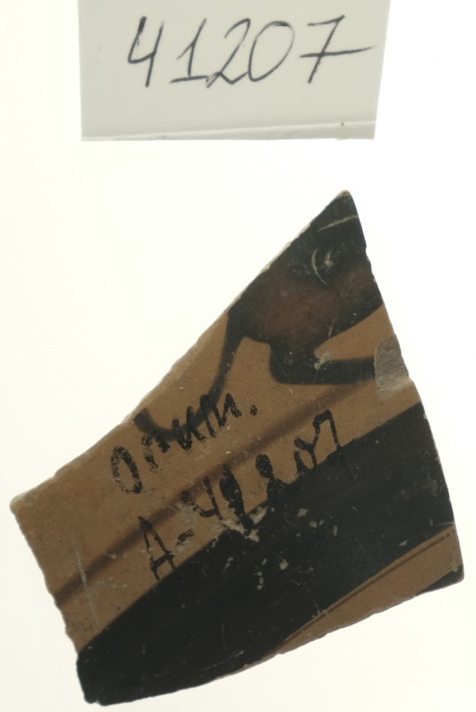 Фрагмент чорнофігурної посудини