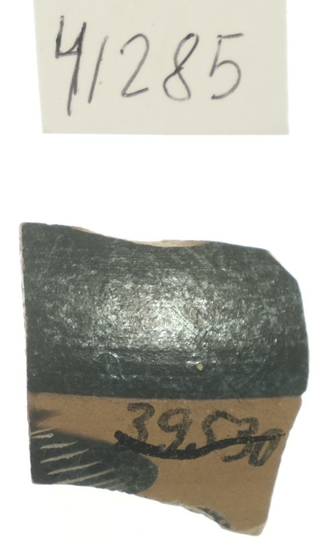 Фрагмент тонкостінної чорнофігурної посудини