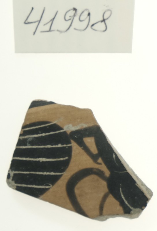 Фрагмент чорнофігурної посудини