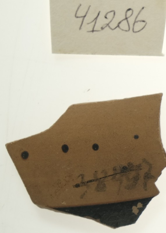 Фрагмент тонкостінної чорнофігурної посудини