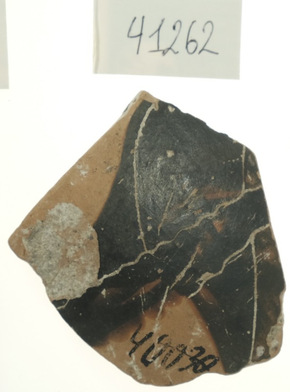 Фрагмент тонкостінної чорнофігурної посудини