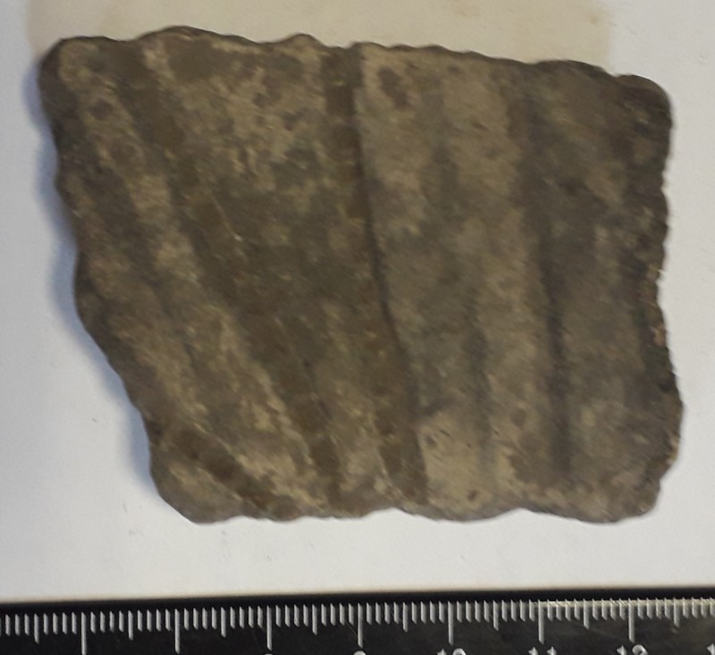 Фрагмент стінки ліпного сіроглиняного посуду.