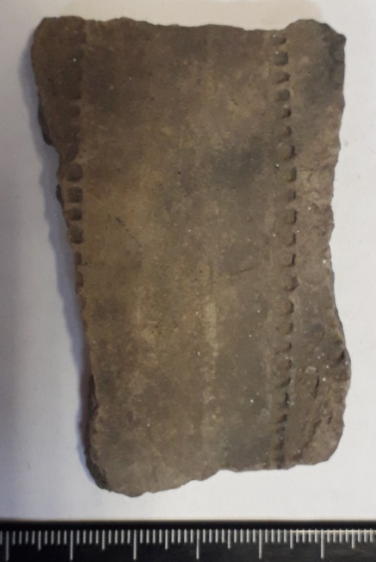 Фрагмент стінки ліпного сіроглиняного посуду.